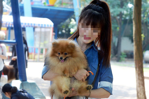 Chó cảnh xinh, hiền cũng tiềm ẩn nguy cơ gây chết người - Ảnh 2. Chó cảnh xinh, hiền cũng tiềm ẩn nguy cơ gây chết người - Ảnh 2.