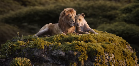 The Lion King được ca ngợi sẽ thay đổi cách chúng ta xem phim mãi mãi - Ảnh 4. The Lion King được ca ngợi sẽ thay đổi cách chúng ta xem phim mãi mãi - Ảnh 4.