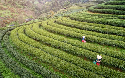 Hội An đứng đầu 15 thành phố tuyệt vời nhất thế giới - Ảnh 3. Hội An đứng đầu 15 thành phố tuyệt vời nhất thế giới - Ảnh 3.