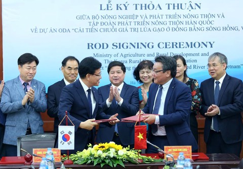 Hàn Quốc hỗ trợ 4,5 triệu USD nâng chất gạo ở Đồng bằng sông Hồng - Ảnh 1. Hàn Quốc hỗ trợ 4,5 triệu USD nâng chất gạo ở Đồng bằng sông Hồng - Ảnh 1.