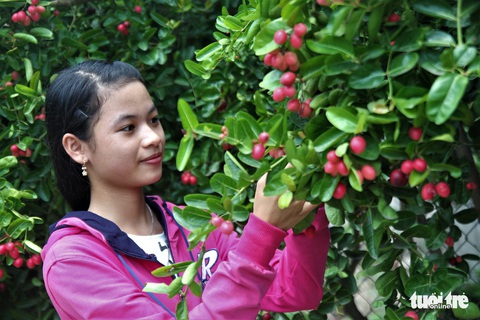 Con đường siro Gò Công đỏ mọng đến không chịu nổi - Ảnh 10. Con đường siro Gò Công đỏ mọng đến không chịu nổi - Ảnh 10.
