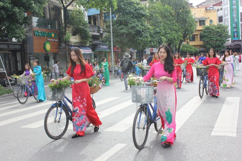 Ngộ nghĩnh trâu mặc hoàng bào dạo phố ở Hà Nội - Ảnh 6. Ngộ nghĩnh trâu mặc hoàng bào dạo phố ở Hà Nội - Ảnh 6.