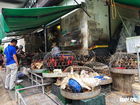 Cảnh người người chen chúc, ngột ngạt ở chung cư ông Thản - Ảnh 9. Cảnh người người chen chúc, ngột ngạt ở chung cư ông Thản - Ảnh 9.