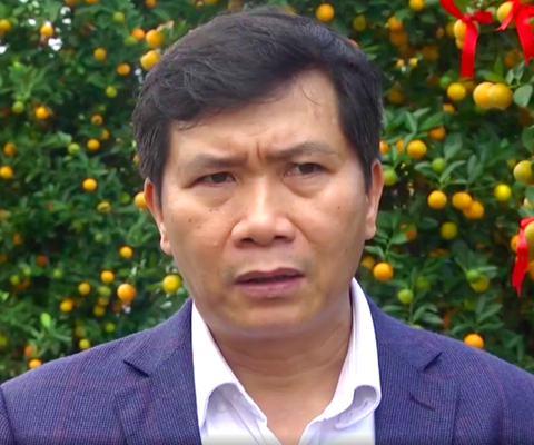 Thương cảng Hội An và những thách thức của một điểm đến hấp dẫn - Ảnh 5. Thương cảng Hội An và những thách thức của một điểm đến hấp dẫn - Ảnh 5.