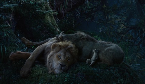 The Lion King và hành trình rực rỡ, bi tráng lôi cuốn khán giả - Ảnh 8. The Lion King và hành trình rực rỡ, bi tráng lôi cuốn khán giả - Ảnh 8.