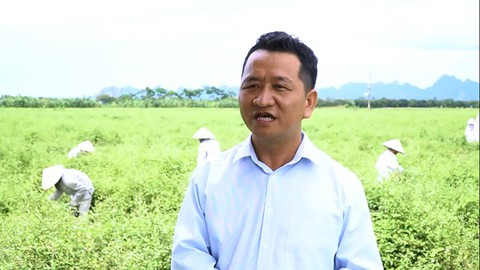 Đã có sản phẩm từ cà gai leo sạch đạt chuẩn quốc tế - Ảnh 2. Đã có sản phẩm từ cà gai leo sạch đạt chuẩn quốc tế - Ảnh 2.