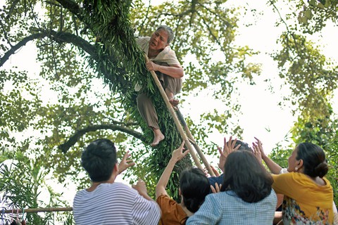 Trailer ‘Thưa mẹ con đi’ gây chú ý vì câu thoại nằm trên, nằm dưới - Ảnh 6. Trailer ‘Thưa mẹ con đi’ gây chú ý vì câu thoại nằm trên, nằm dưới - Ảnh 6.