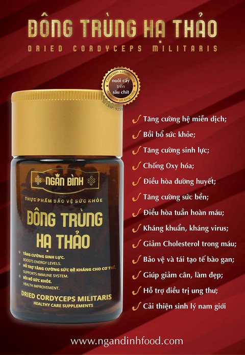 Đông Trùng Hạ Thảo món quà vô giá từ thiên nhiên - Ảnh 3. Đông Trùng Hạ Thảo món quà vô giá từ thiên nhiên - Ảnh 3.