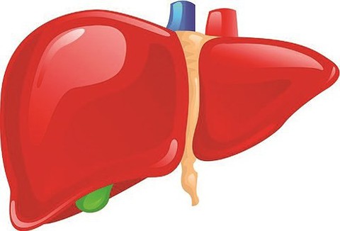 Vitatree Super Liver Detox trợ thủ đắc lực cải thiện chức năng gan - Ảnh 1. Vitatree Super Liver Detox trợ thủ đắc lực cải thiện chức năng gan - Ảnh 1.