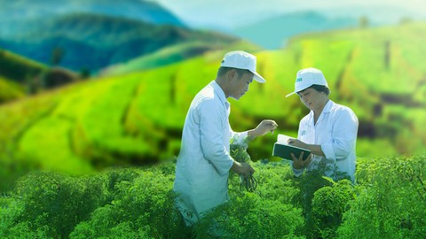 Doanh nghiệp hưởng lợi gì từ chính sách hỗ trợ của ngành Dược? - Ảnh 2. Doanh nghiệp hưởng lợi gì từ chính sách hỗ trợ của ngành Dược? - Ảnh 2.
