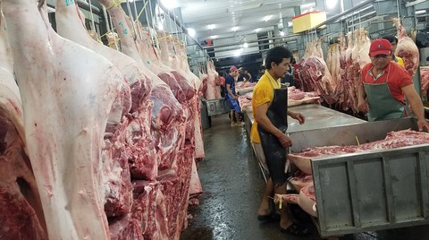 Cấp giấy kiểm dịch cho thịt heo nhiễm bệnh... đúng quy định - Ảnh 1. Cấp giấy kiểm dịch cho thịt heo nhiễm bệnh... đúng quy định - Ảnh 1.