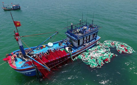 Hải sản cạn kiệt dần: ‘Bảo tồn để đảm bảo sinh kế cho ngư dân’ - Ảnh 1. Hải sản cạn kiệt dần: ‘Bảo tồn để đảm bảo sinh kế cho ngư dân’ - Ảnh 1.
