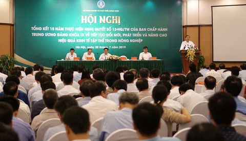 Kinh tế tập thể nông nghiệp chưa phát triển tương xứng với tiềm năng - Ảnh 1. Kinh tế tập thể nông nghiệp chưa phát triển tương xứng với tiềm năng - Ảnh 1.