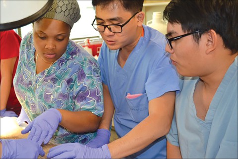Đại học Tân Tạo: Chào mừng sinh viên niên khóa 2019-2020 - Ảnh 10. Đại học Tân Tạo: Chào mừng sinh viên niên khóa 2019-2020 - Ảnh 10.