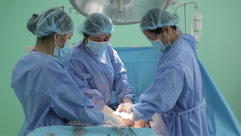 Cứu sống mẹ con sản phụ bị bóc tách động mạch chủ - Ảnh 1. Cứu sống mẹ con sản phụ bị bóc tách động mạch chủ - Ảnh 1.