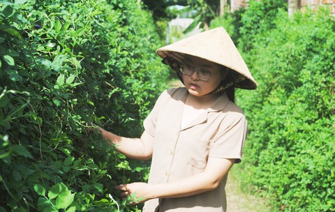 Cô giáo trẻ phát triển Trà hoa Sa Đéc - Ảnh 1. Cô giáo trẻ phát triển Trà hoa Sa Đéc - Ảnh 1.