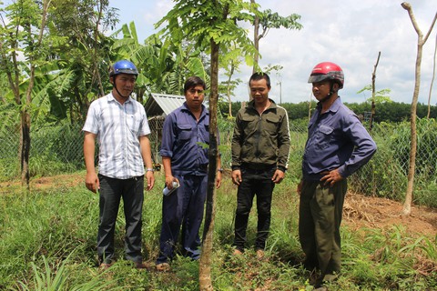 Điều tra nhóm thanh thiếu niên trộm cây xanh đô thị mang đi bán - Ảnh 1. Điều tra nhóm thanh thiếu niên trộm cây xanh đô thị mang đi bán - Ảnh 1.