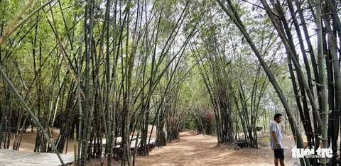 Làng tre Triêm Tây mát rượi bên sông, cách Hội An chỉ 2km - Ảnh 4. Làng tre Triêm Tây mát rượi bên sông, cách Hội An chỉ 2km - Ảnh 4.