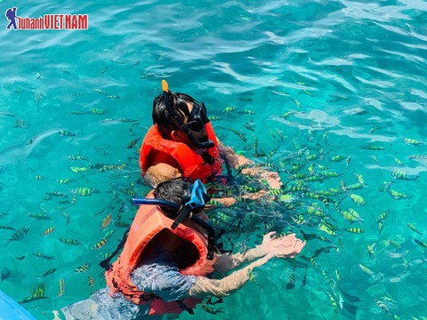 Flash Sales tour Phuket dịch vụ 4 sao giá trọn gói chỉ 6,99 triệu đồng - Ảnh 2. Flash Sales tour Phuket dịch vụ 4 sao giá trọn gói chỉ 6,99 triệu đồng - Ảnh 2.
