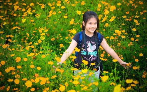 Lá thư cô bé lớp 6 lay động, nhiều hiệu trưởng sẽ tổ chức ngày khai giảng không bóng bay - Ảnh 1. Lá thư cô bé lớp 6 lay động, nhiều hiệu trưởng sẽ tổ chức ngày khai giảng không bóng bay - Ảnh 1.