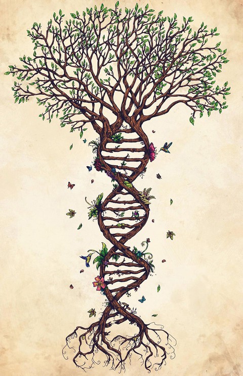 Giải mã gene: Khoa học hay thương mại hóa? - Ảnh 1. Giải mã gene: Khoa học hay thương mại hóa? - Ảnh 1.