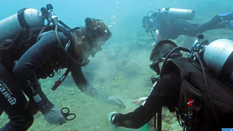 Rác biển Nha Trang, một người gom, ngàn người xả - Ảnh 1. Rác biển Nha Trang, một người gom, ngàn người xả - Ảnh 1.