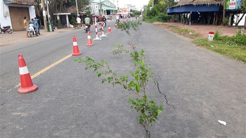 Quốc lộ 91 có nguy cơ rớt xuống sông Hậu - Ảnh 3. Quốc lộ 91 có nguy cơ rớt xuống sông Hậu - Ảnh 3.