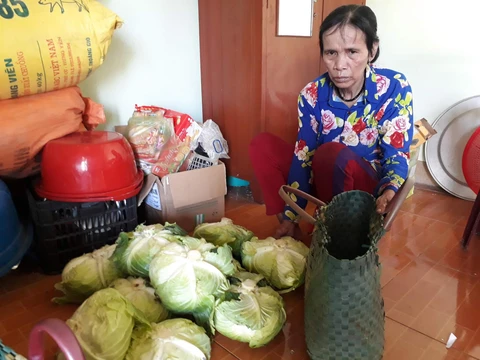Người mẹ của ca sĩ Châu Việt Cường sống trong nghèo khó - Ảnh 1. Người mẹ của ca sĩ Châu Việt Cường sống trong nghèo khó - Ảnh 1.