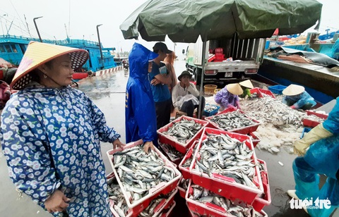 Ngư dân hối hả vào bờ tránh bão số 2 - Ảnh 6. Ngư dân hối hả vào bờ tránh bão số 2 - Ảnh 6.