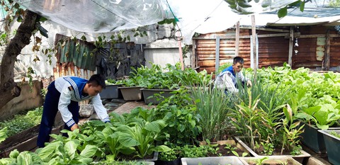 Gặp những chàng trai Đà Nẵng ở Trường Sa - Ảnh 4. Gặp những chàng trai Đà Nẵng ở Trường Sa - Ảnh 4.