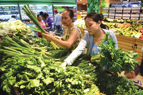 Saigon Co.op hướng người tiêu dùng đến lối sống xanh - Ảnh 1. Saigon Co.op hướng người tiêu dùng đến lối sống xanh - Ảnh 1.