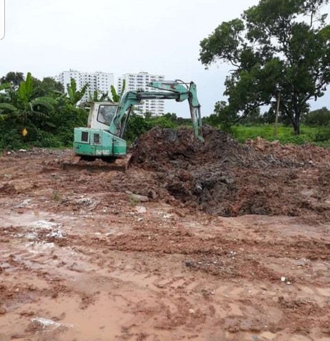 TP.HCM: Xuất hiện ổ dịch tả heo châu Phi thứ 2 - Ảnh 1. TP.HCM: Xuất hiện ổ dịch tả heo châu Phi thứ 2 - Ảnh 1.