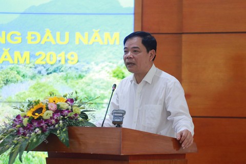 Nguy cơ cháy rừng ở miền Trung vẫn rất cao - Ảnh 1. Nguy cơ cháy rừng ở miền Trung vẫn rất cao - Ảnh 1.