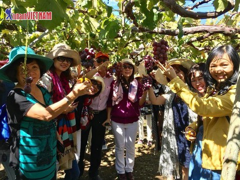 Ưu đãi 3 triệu đồng tour du lịch Nhật Bản mùa hè - Ảnh 1. Ưu đãi 3 triệu đồng tour du lịch Nhật Bản mùa hè - Ảnh 1.