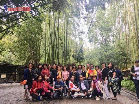 Ưu đãi 3 triệu đồng tour du lịch Nhật Bản mùa hè - Ảnh 4. Ưu đãi 3 triệu đồng tour du lịch Nhật Bản mùa hè - Ảnh 4.