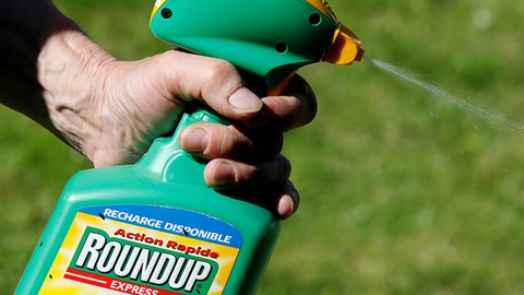 Áo tiên phong cấm thuốc diệt cỏ Roundup - Ảnh 1. Áo tiên phong cấm thuốc diệt cỏ Roundup - Ảnh 1.