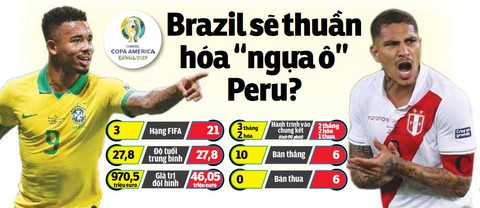 Brazil sẽ thuần hóa ngựa ô Peru? - Ảnh 1. Brazil sẽ thuần hóa ngựa ô Peru? - Ảnh 1.