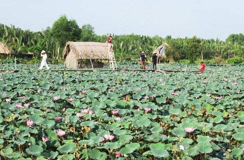 Vườn sen ở TP.HCM hiếm áo yếm mà nhộn nhịp áo dài - Ảnh 4. Vườn sen ở TP.HCM hiếm áo yếm mà nhộn nhịp áo dài - Ảnh 4.
