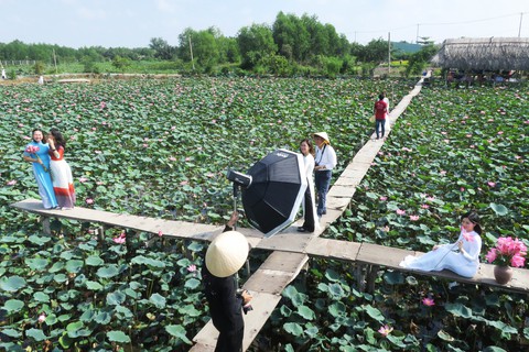 Vườn sen ở TP.HCM hiếm áo yếm mà nhộn nhịp áo dài - Ảnh 6. Vườn sen ở TP.HCM hiếm áo yếm mà nhộn nhịp áo dài - Ảnh 6.