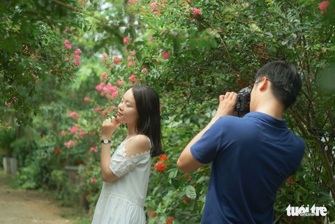 Con đường hoa tường vi chỉ 200m như một thế giới lạ - Ảnh 7. Con đường hoa tường vi chỉ 200m như một thế giới lạ - Ảnh 7.