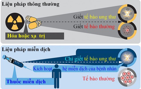 Liệu pháp miễn dịch ung thư - Ảnh 1. Liệu pháp miễn dịch ung thư - Ảnh 1.