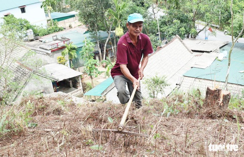 Dân Hà Tĩnh xót xa nhìn rừng thông bị ‘giặc lửa’ thiêu rụi - Ảnh 20. Dân Hà Tĩnh xót xa nhìn rừng thông bị ‘giặc lửa’ thiêu rụi - Ảnh 20.