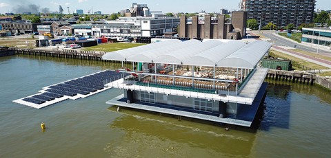 Nuôi bò trên biển ở Rotterdam - Ảnh 1. Nuôi bò trên biển ở Rotterdam - Ảnh 1.