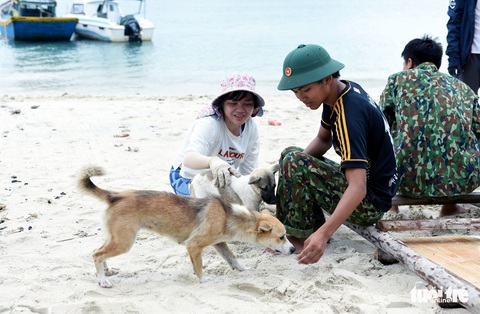 Người trẻ tình nguyện ra chăm chút từng góc đảo Hòn Cau - Ảnh 5. Người trẻ tình nguyện ra chăm chút từng góc đảo Hòn Cau - Ảnh 5.