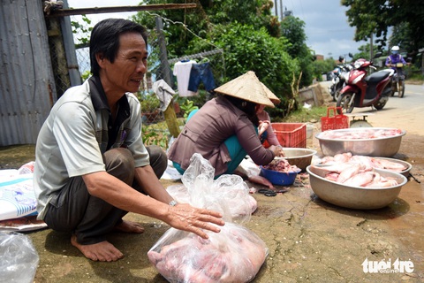 Cá lồng bè chết, trôi sông hàng ngàn tấn, ngư dân bán như cho đầy đường - Ảnh 6. Cá lồng bè chết, trôi sông hàng ngàn tấn, ngư dân bán như cho đầy đường - Ảnh 6.