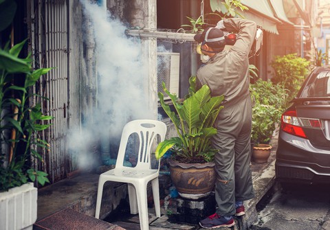 5 điều cần làm ngay nếu phát hiện người nhà sốt xuất huyết - Ảnh 2. 5 điều cần làm ngay nếu phát hiện người nhà sốt xuất huyết - Ảnh 2.