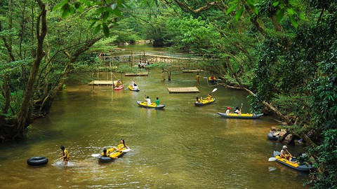 Khám phá vùng rừng Ozo giữa Vườn quốc gia Phong Nha - Kẻ Bàng - Ảnh 2. Khám phá vùng rừng Ozo giữa Vườn quốc gia Phong Nha - Kẻ Bàng - Ảnh 2.