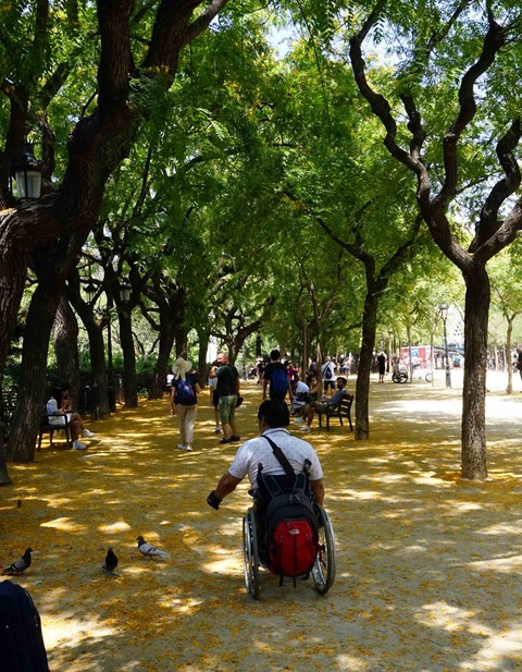 Phố cổ hun hút, sương mù và núi tuyết mùa hè châu Âu - Ảnh 5. Phố cổ hun hút, sương mù và núi tuyết mùa hè châu Âu - Ảnh 5.
