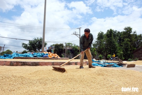 Cả làng đắp đê suốt 3 ngày đêm, cứu hơn 1.000ha lúa sắp thu hoạch - Ảnh 21. Cả làng đắp đê suốt 3 ngày đêm, cứu hơn 1.000ha lúa sắp thu hoạch - Ảnh 21.