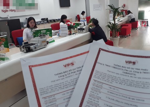 Trái phiếu doanh nghiệp: người mua tự đánh giá rủi ro? - Ảnh 1. Trái phiếu doanh nghiệp: người mua tự đánh giá rủi ro? - Ảnh 1.